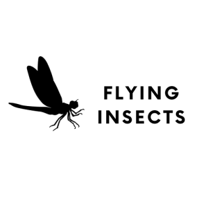 Modern Letter E Logo (1)