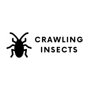 Modern Letter E Logo (2)